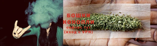индика Белокуриха
