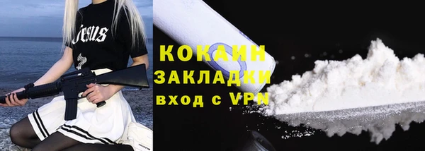 индика Белокуриха