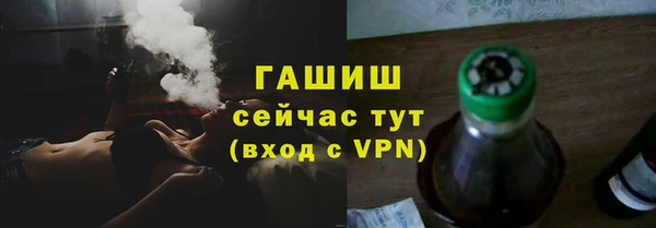 индика Белокуриха