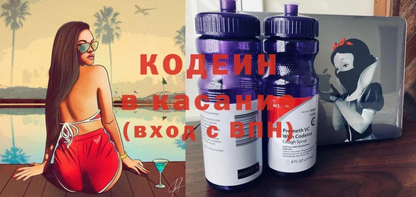 индика Белокуриха