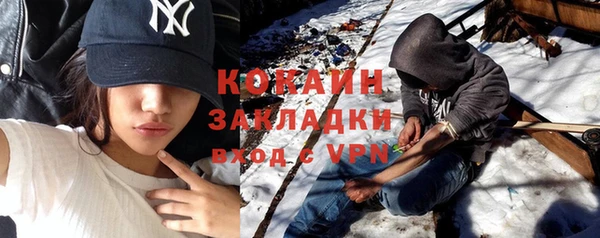 индика Белокуриха