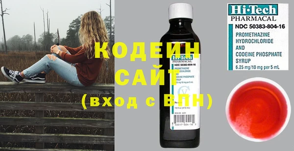 индика Белокуриха
