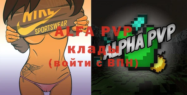 индика Белокуриха