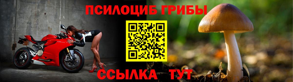 Маркс  Галлюциногенные грибы Cubensis  Вход с VPN 